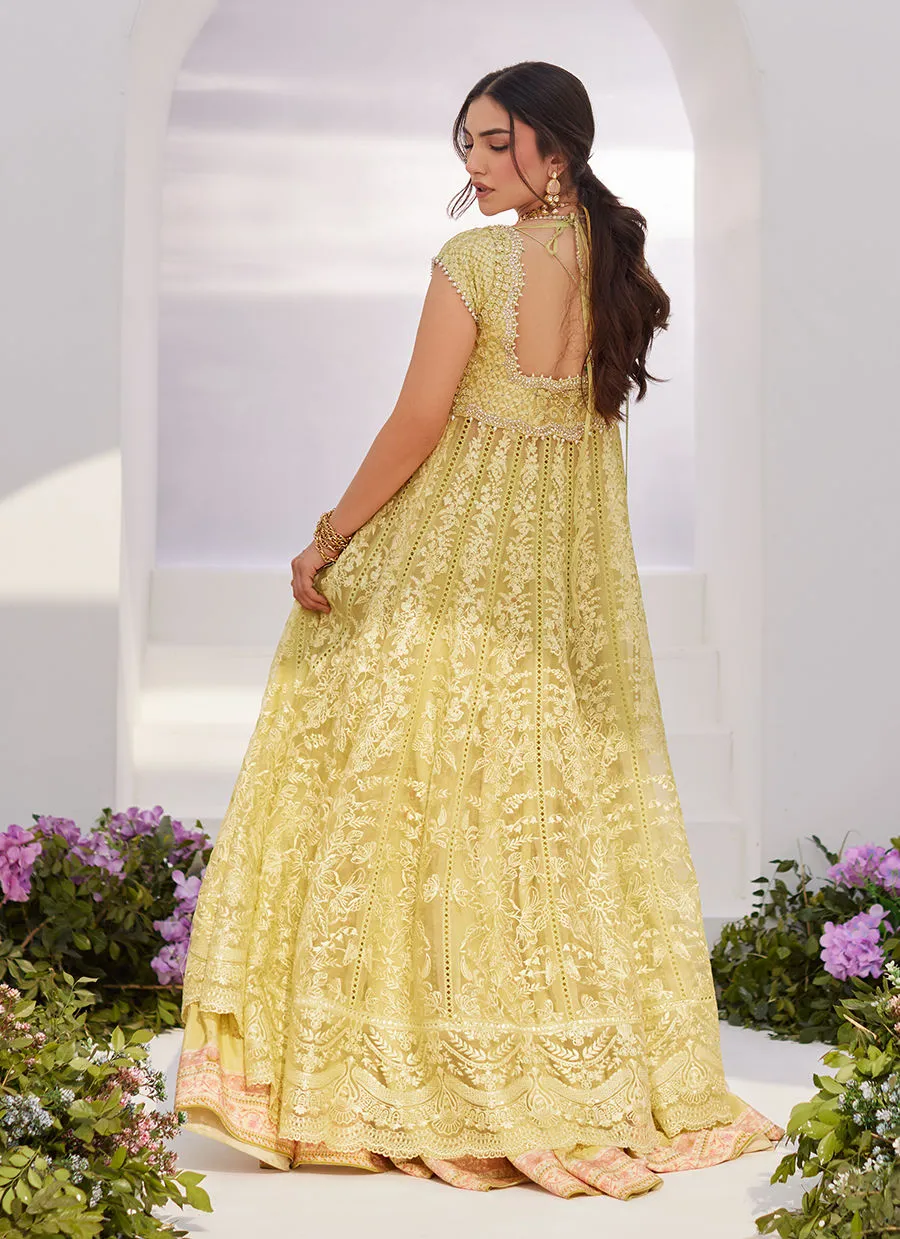 Zaza '24 - Reine Kiwi Embroidered Embellished Kalidaar